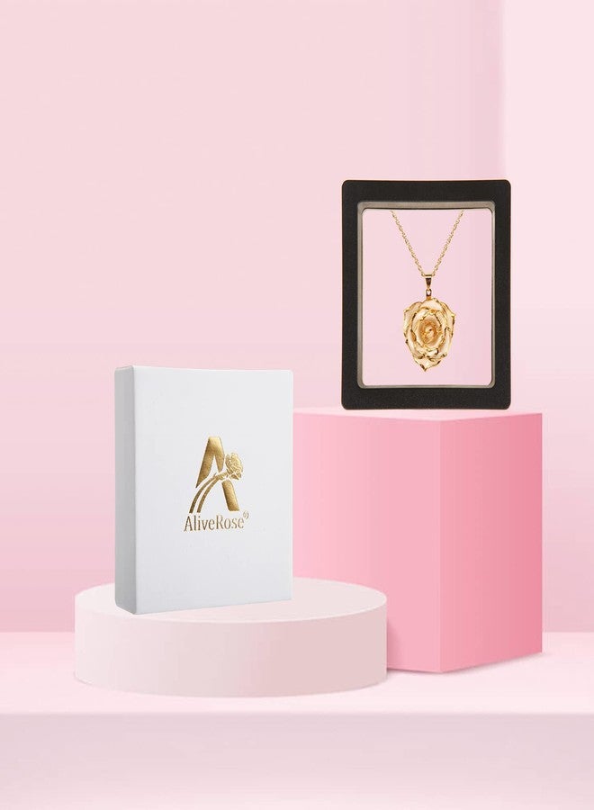 AliveRose Gold-Plated Necklace Gifts for Women, 24K Gold-Plated Real Rose Pendant Necklace Mothers Day Anniversaries Birthday Christmas Valentine's Day Gifts for Her (Ivory) - Image 4